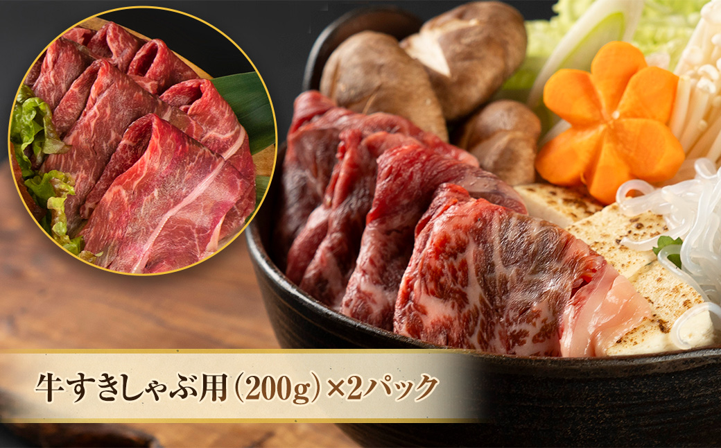 「北の牧場舎」おとふけe-びーふ 5種8点セット【D21】