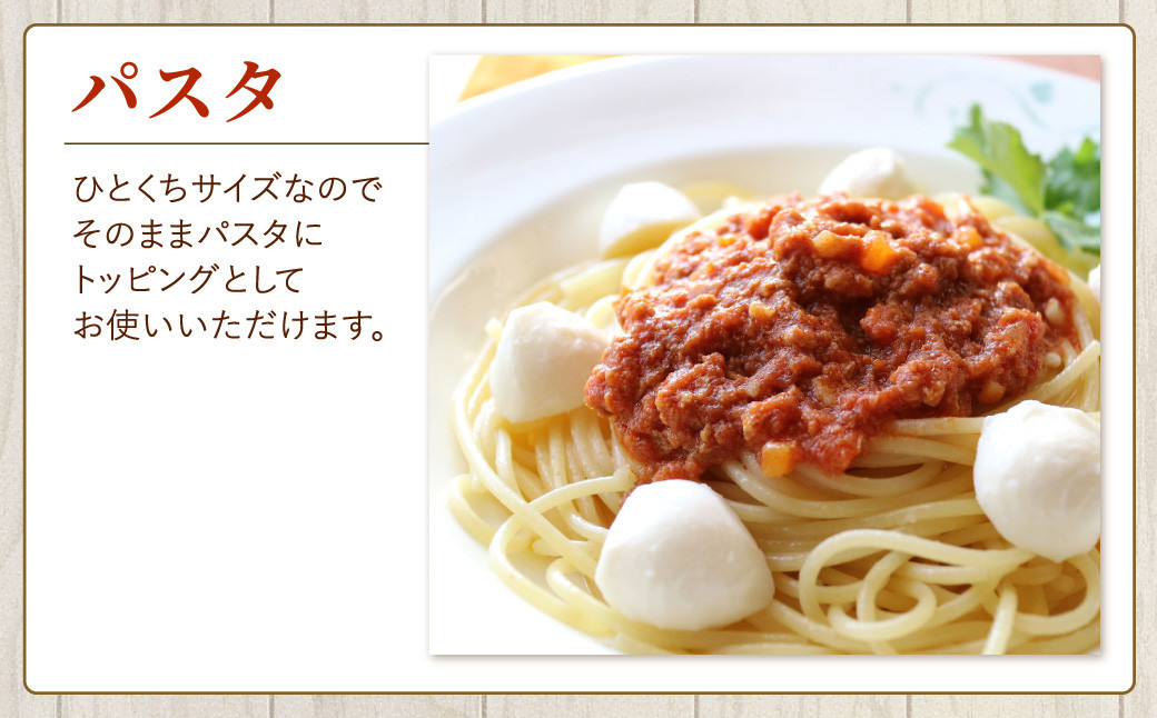 「花畑牧場」モッツァレラチーズひとくちタイプ 約500g【B94】