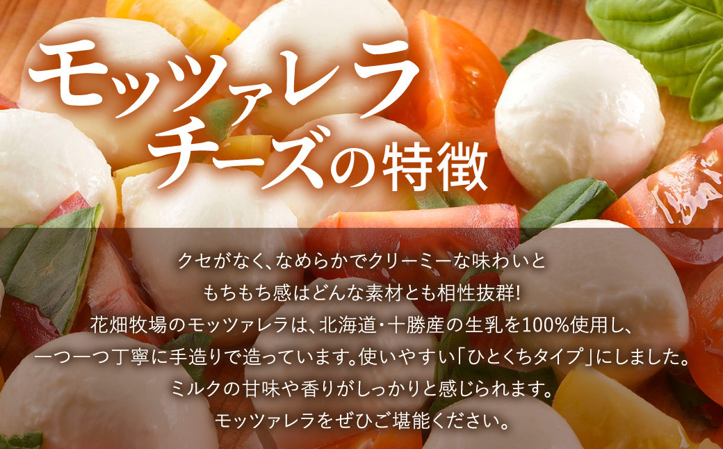 「花畑牧場」モッツァレラチーズひとくちタイプ 約500g【B94】