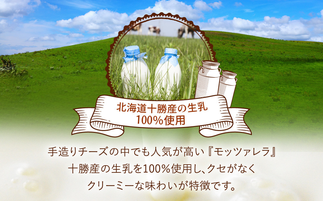 「花畑牧場」モッツァレラチーズひとくちタイプ 約500g【B94】