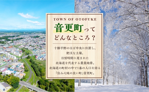 「柳月」三方六の小割10個セット【B67】