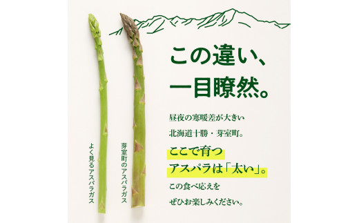 【先行受付】【2025年出荷分】北海道十勝芽室町 なまら十勝野のアスパラ1kg me001-007c-25