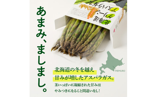 【先行受付】【2025年出荷分】北海道十勝芽室町 なまら十勝野のアスパラ1kg me001-007c-25