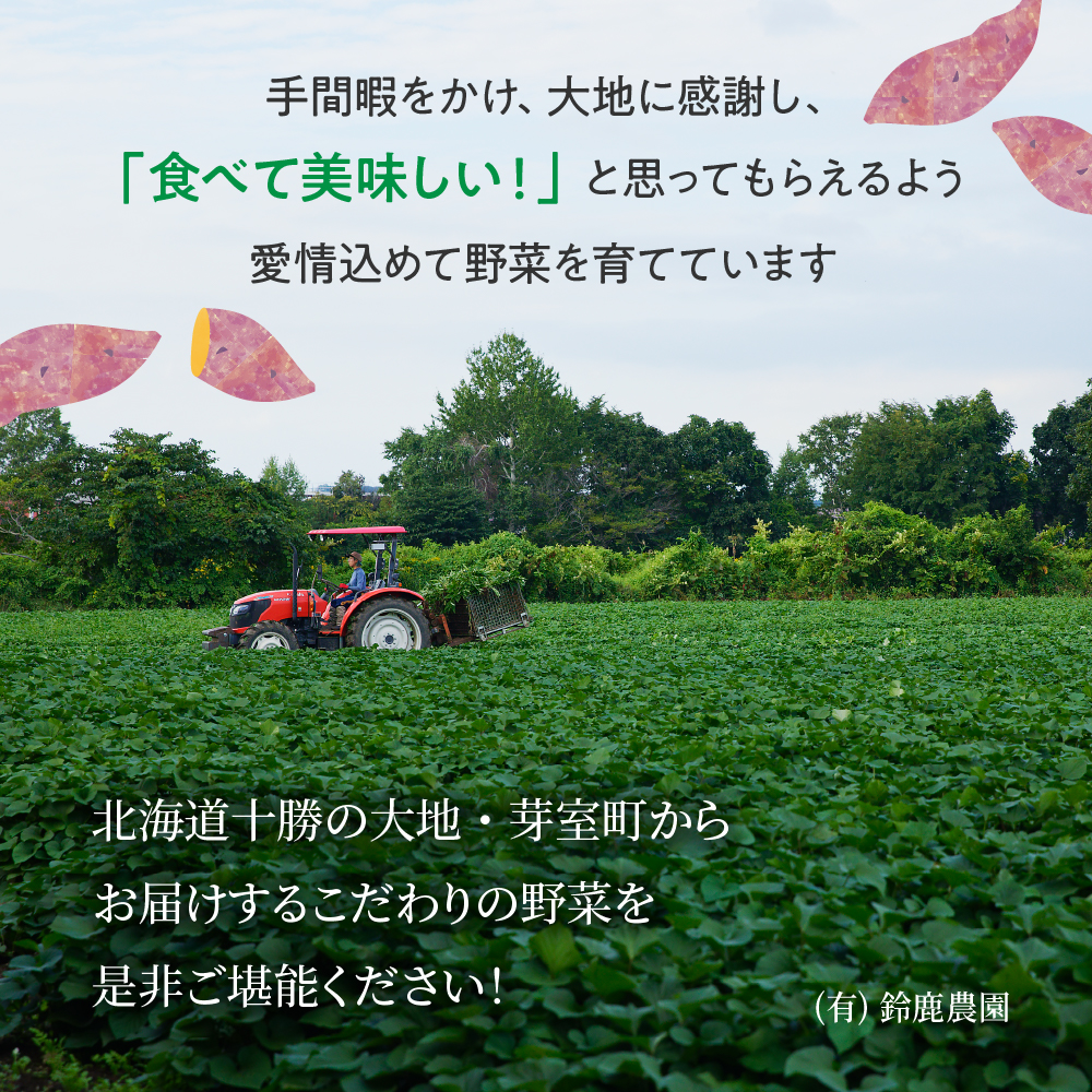 【先行予約】【2024年11月下旬より配送】北海道十勝芽室町産 有機JAS認証 鈴鹿農園 熟成さつまいも 金時いも 5kg（土付き）me049-012c