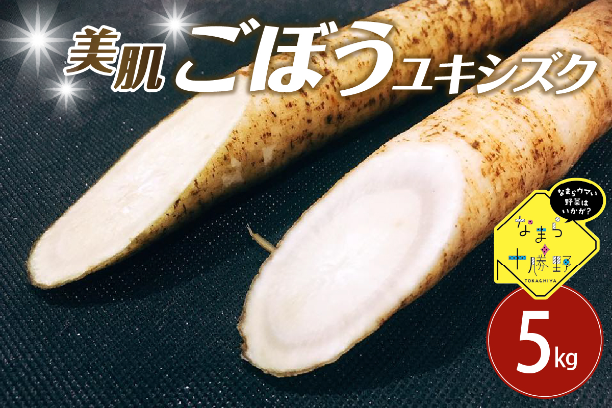 北海道十勝芽室町 なまら十勝野 芽室町産 春掘り美肌ごぼう【ユキシズク】L5㎏ me001-035c