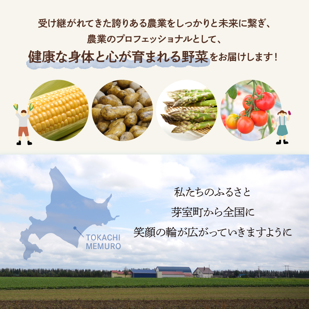 【先行受付】【10月上旬より発送】北海道十勝芽室町 なまら十勝野 芽室町産にんじん５㎏　me001-030c