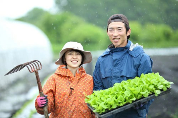 【 2025年分先行予約 】とうもろこし 北海道産 ホワイトショコラ 10本 廣田農園 期間限定 数量限定 糖度 18 〜 19度 甘い 人気 白 とうきび コーン 野菜 生 産地直送 送料無料 お取り寄せ お取り寄せグルメ 朝採り 産地直送 贈り物 ギフト 十勝 芽室町 me031-001c-25