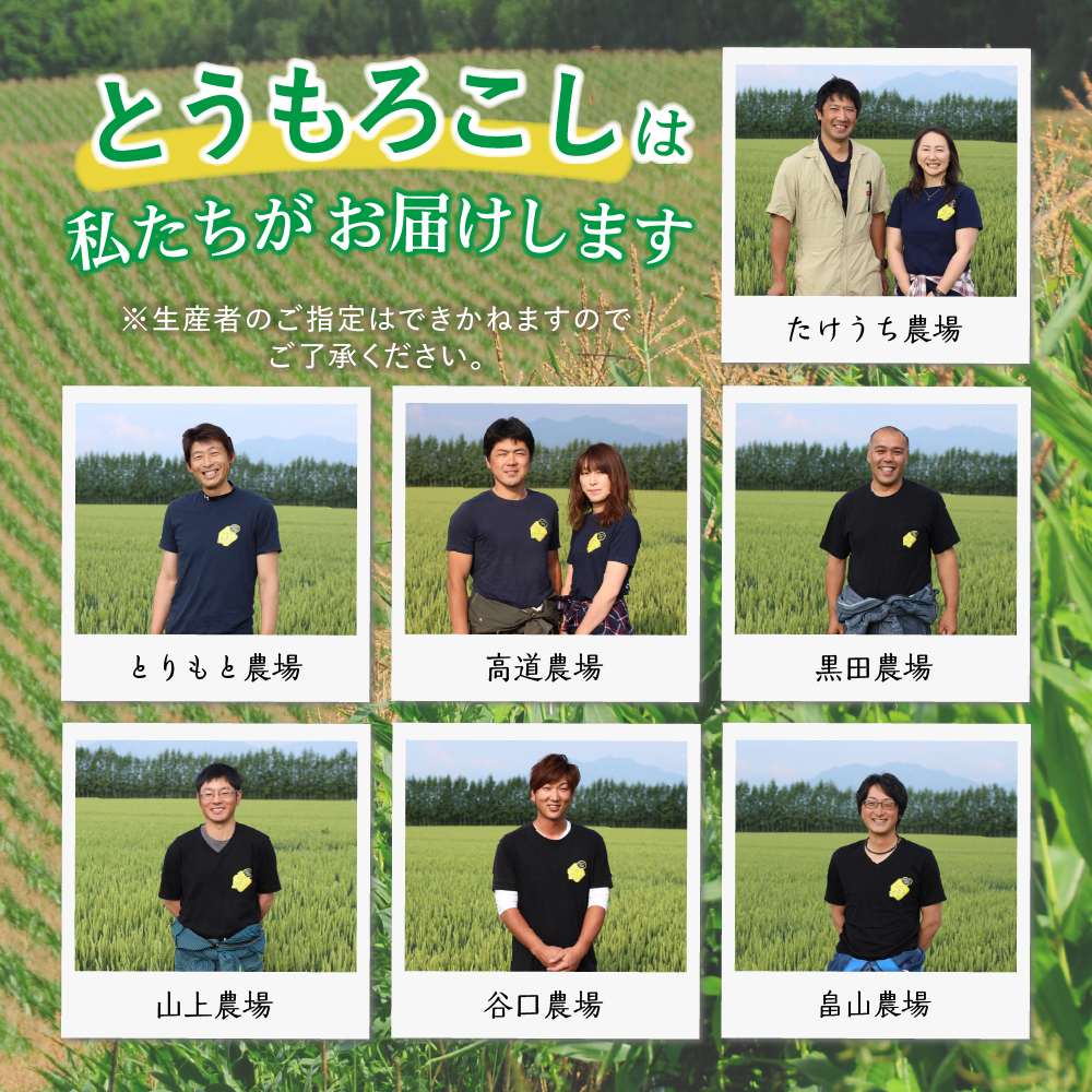 【2025年分先行予約】北海道十勝芽室町 スイートコーン ゴールドラッシュ 20本キャンプ飯 BBQ ソロキャン人気 トウモロコシ 生 野菜 北海道 十勝 芽室町 送料無料 お取り寄せme001-020c-25