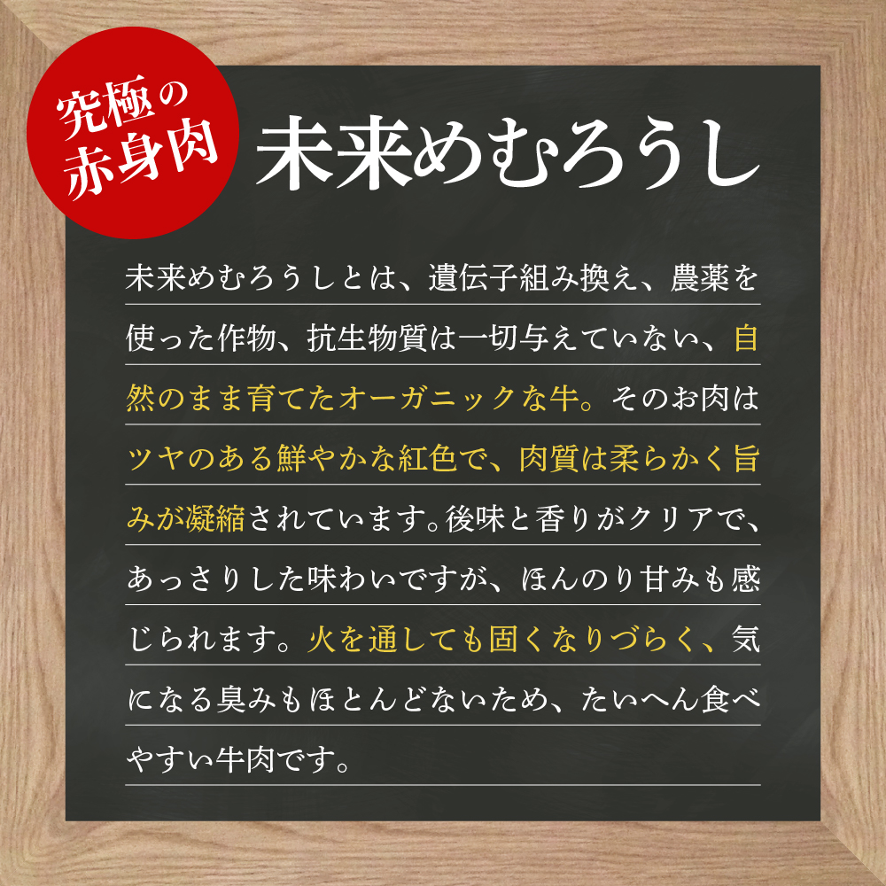 北海道十勝芽室町 未来めむろうし100％ハンバーグ　300g×4パック me067-002c