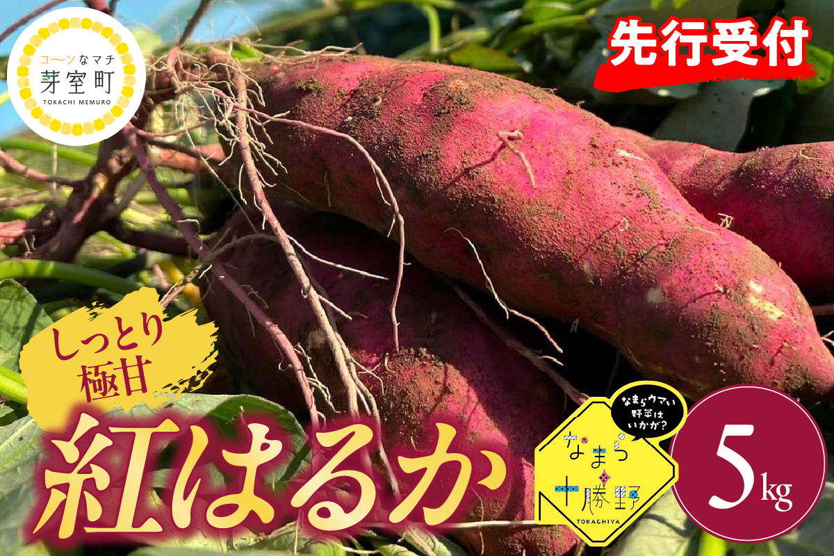 【先行受付】【12月上旬より発送】北海道十勝芽室町 なまら十勝野 芽室町産さつまいも【紅はるか】５㎏　me001-029c