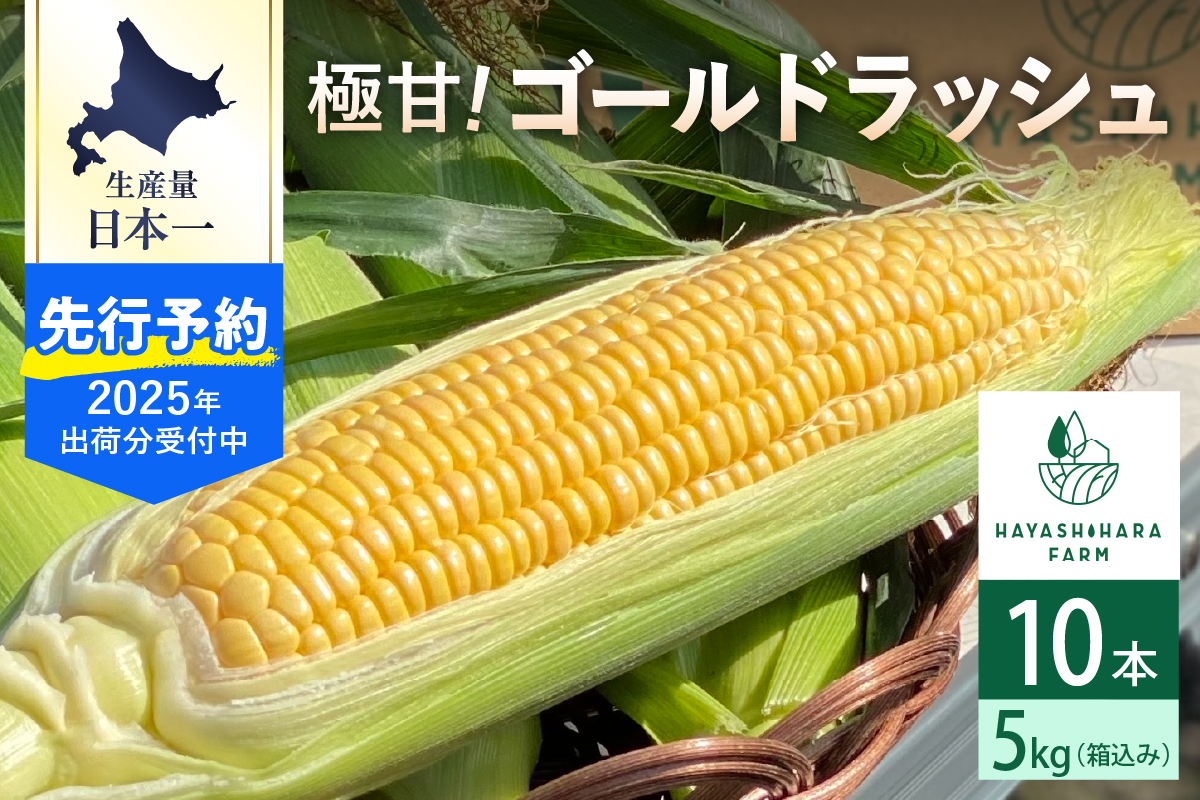 【2025年分先行予約】 極甘 とうもろこし  ゴールドラッシュ 10本 (5kg)  トウモロコシ とうきび コーン フレッシュ 甘い 産地直送 特産 特産品 北海道産 道産 お取り寄せ 冷蔵 国産 北海道 十勝 芽室町me028-001c-25