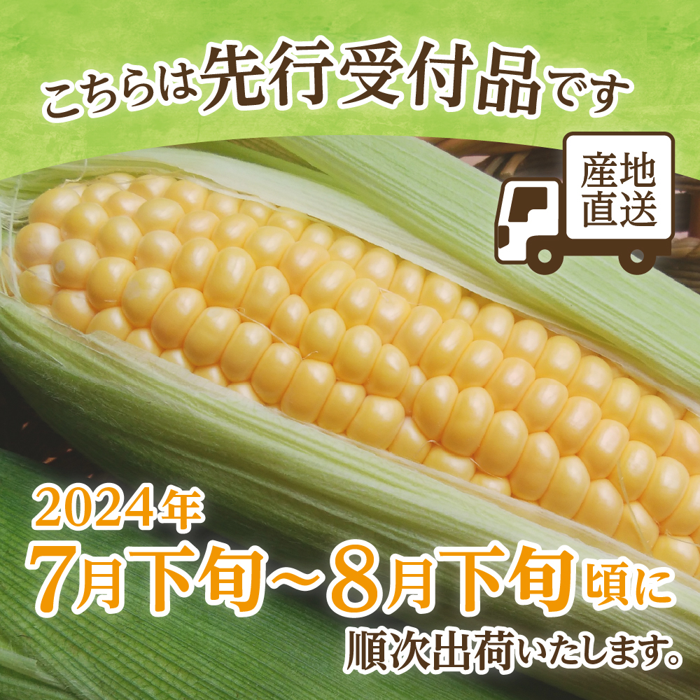 【2024年分先行予約】北海道十勝芽室町 スイートコーンゴールドラッシュ8本 me001-019-24c