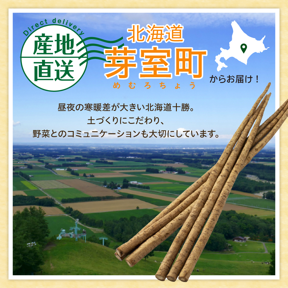 【先行受付】【2025年5月中旬より順次発送】北海道十勝芽室町 なまら十勝野 芽室町産 春掘り美肌ごぼう【ユキシズク】L2kg me001-034c