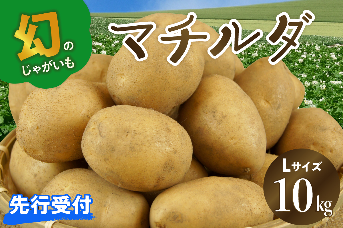 【先行受付】【2025年4月出荷分】十勝めむろ産 マチルダ Ｌサイズ10kg me010-013c-24