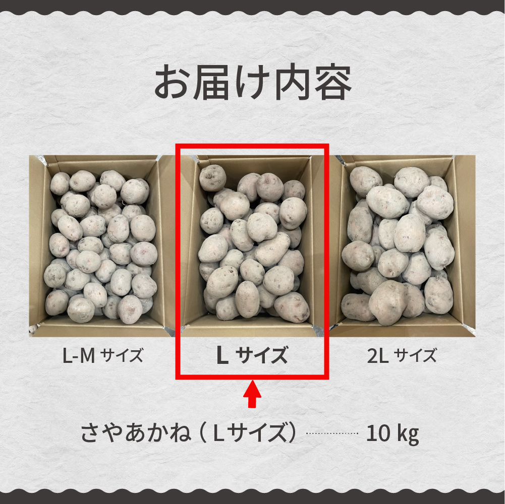 【先行予約】【2024年12月より配送】北海道十勝芽室町 さやあかね Lサイズ 10kg me049-004c-24