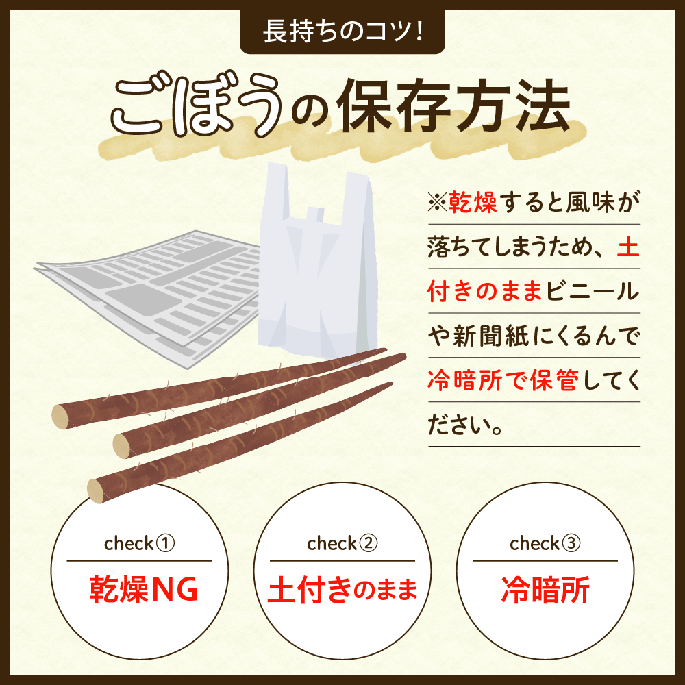 北海道十勝芽室町 なまら十勝野 芽室町産 春掘り美肌ごぼう【ユキシズク】L5㎏ me001-035c