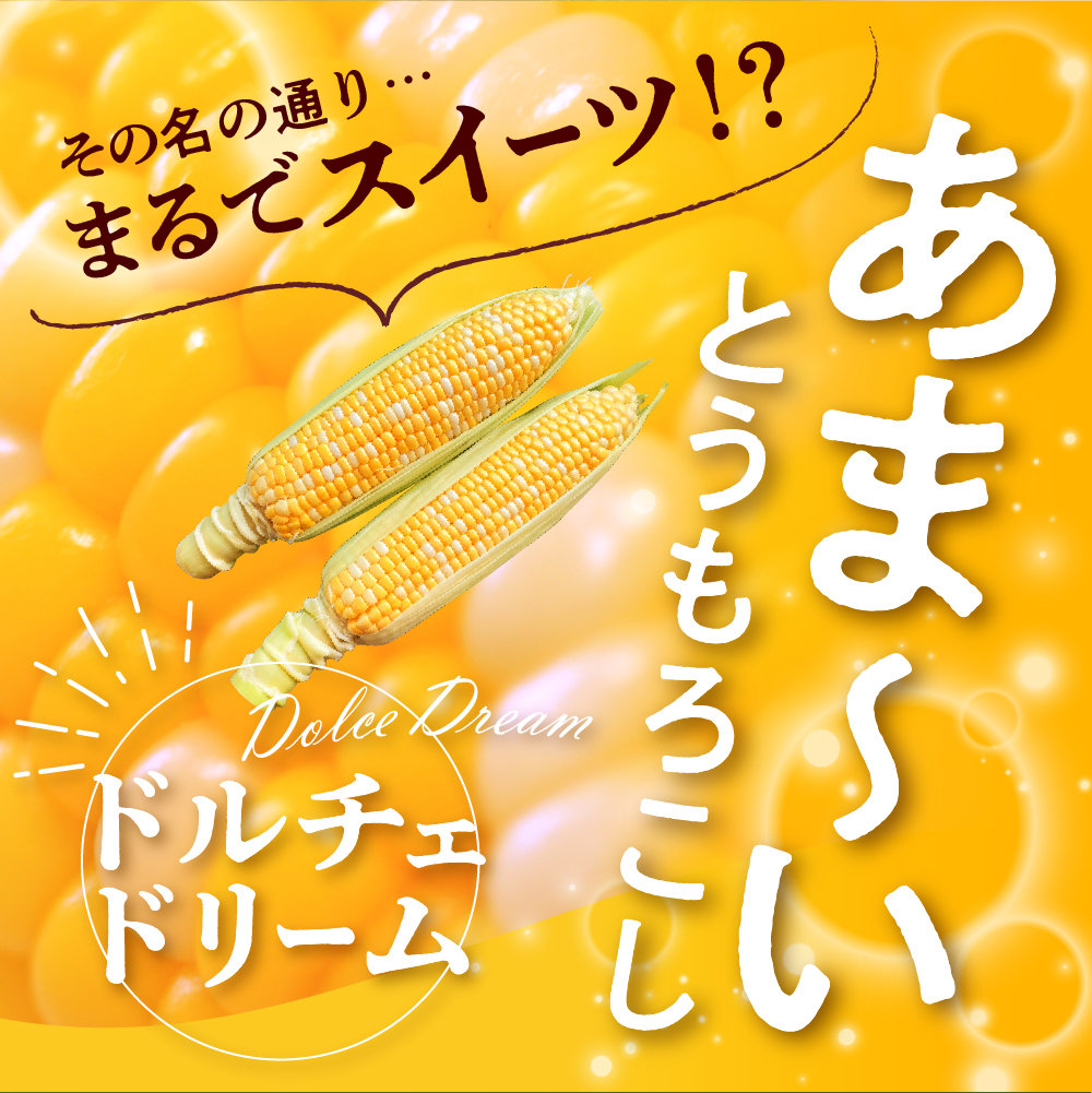 【2025年分先行予約】ドルチェドリーム(20本) 　とうもろこし 高評価 ★ 北海道産 なまら十勝野 キャンプ飯 BBQ ソロキャン人気 トウモロコシ 生 野菜 北海道 十勝 芽室町 送料無料 お取り寄せ　me001-045c-25