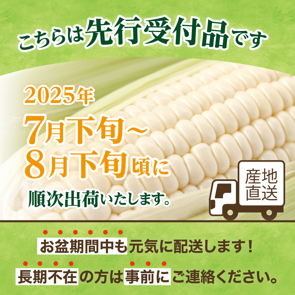 【 2025年分先行予約 】とうもろこし 北海道産 ホワイトショコラ 10本 廣田農園 期間限定 数量限定 糖度 18 〜 19度 甘い 人気 白 とうきび コーン 野菜 生 産地直送 送料無料 お取り寄せ お取り寄せグルメ 朝採り 産地直送 贈り物 ギフト 十勝 芽室町 me031-001c-25