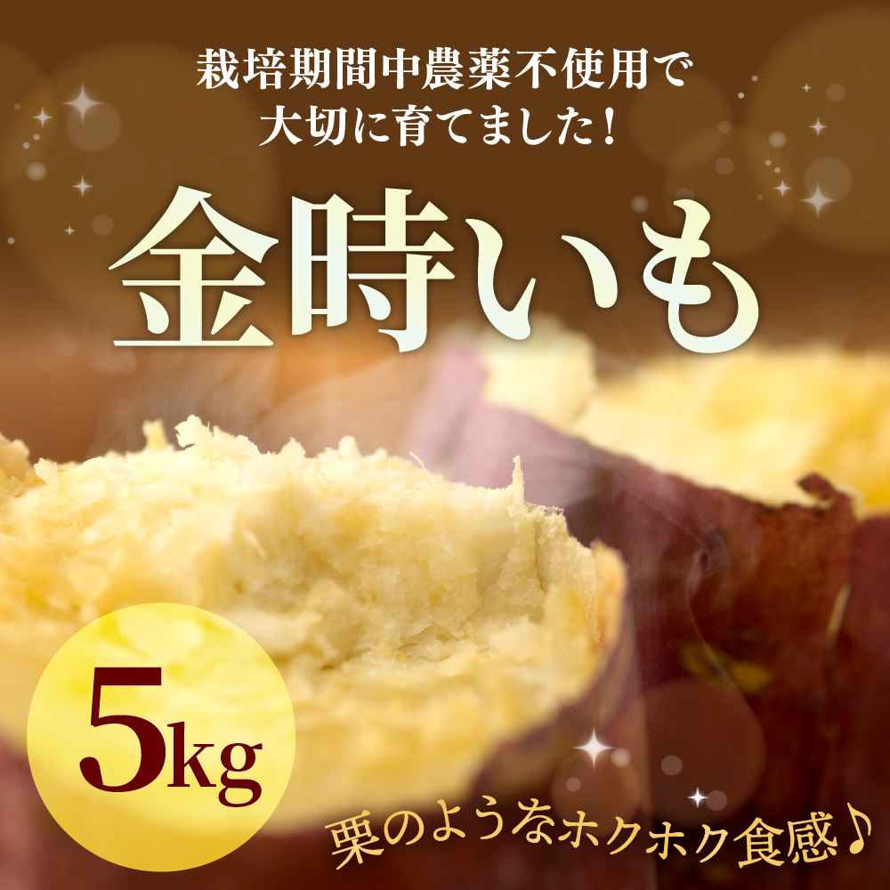 北海道十勝芽室町産 有機JAS認証 鈴鹿農園 熟成さつまいも 金時いも 5kg（土付き）me049-012c