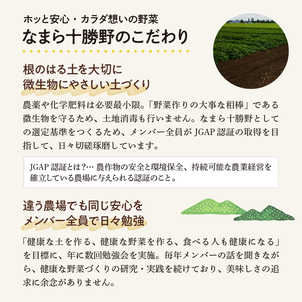 【先行受付】【10月上旬より発送】北海道十勝芽室町 なまら十勝野 芽室町産にんじん５㎏　me001-030c