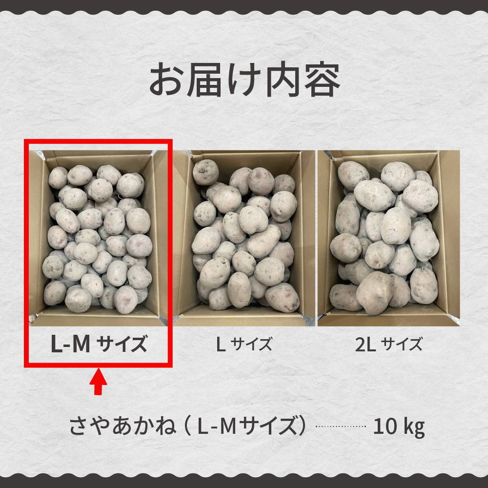 【先行予約】【2024年12月より配送】北海道十勝芽室町 さやあかね L-Mサイズ 10kg me049-003c-24