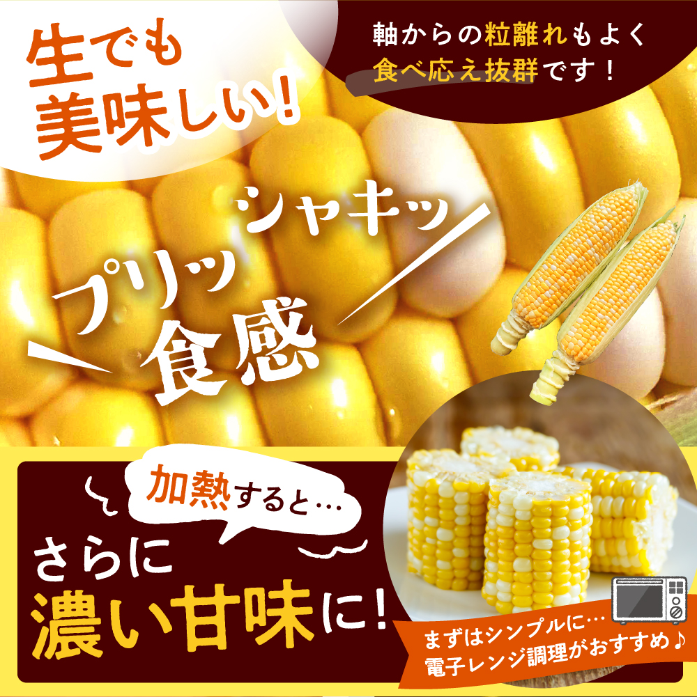 【2025年分先行予約】北海道十勝芽室町 なまら十勝野　ドルチェドリーム(10本) 　me001-043c-25