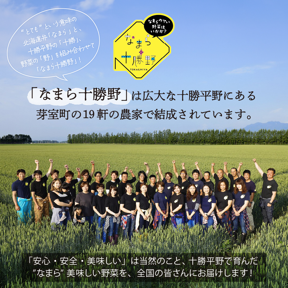 【先行受付】【2025年8月より発送】北海道十勝芽室町 なまら十勝野の季節のおまかせ野菜セット（夏） me001-009c