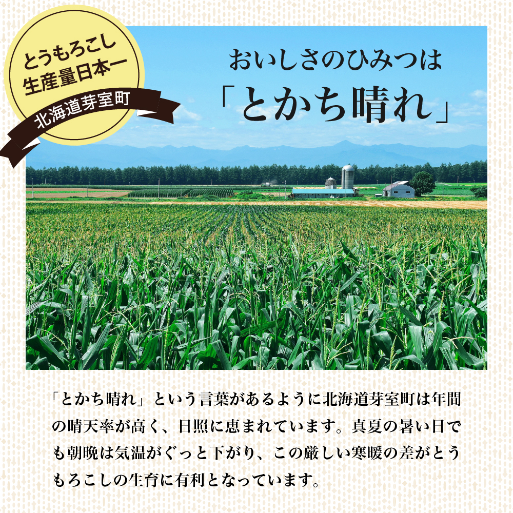 北海道 十勝 芽室町 極甘つぶコーン 食べ比べ×ごぼうご飯の素 me016-005c