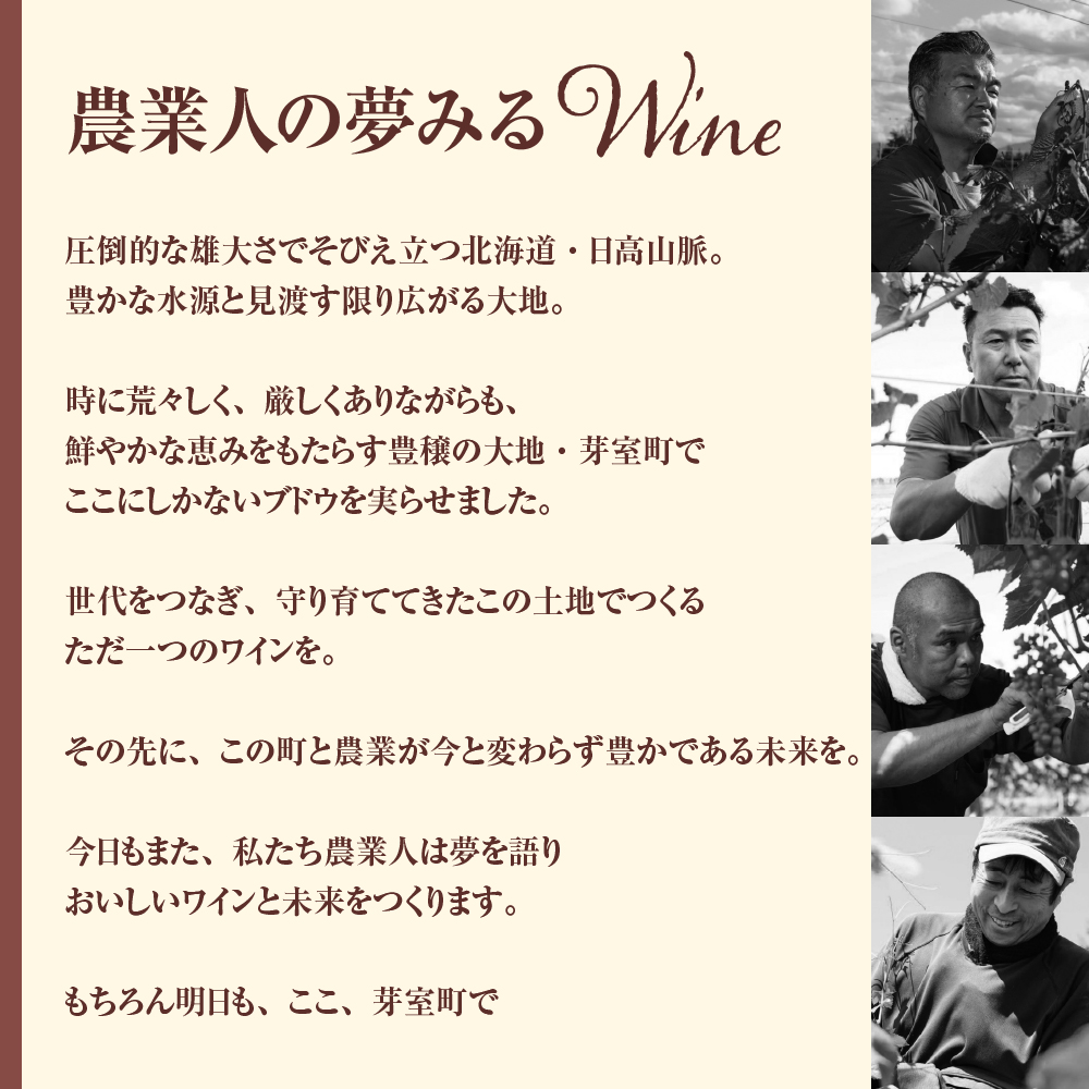 北海道十勝芽室町★数量限定★畑ごとの赤ワイン「山幸」４種飲み比べセット　750ml×4本(箱入) me032-050c