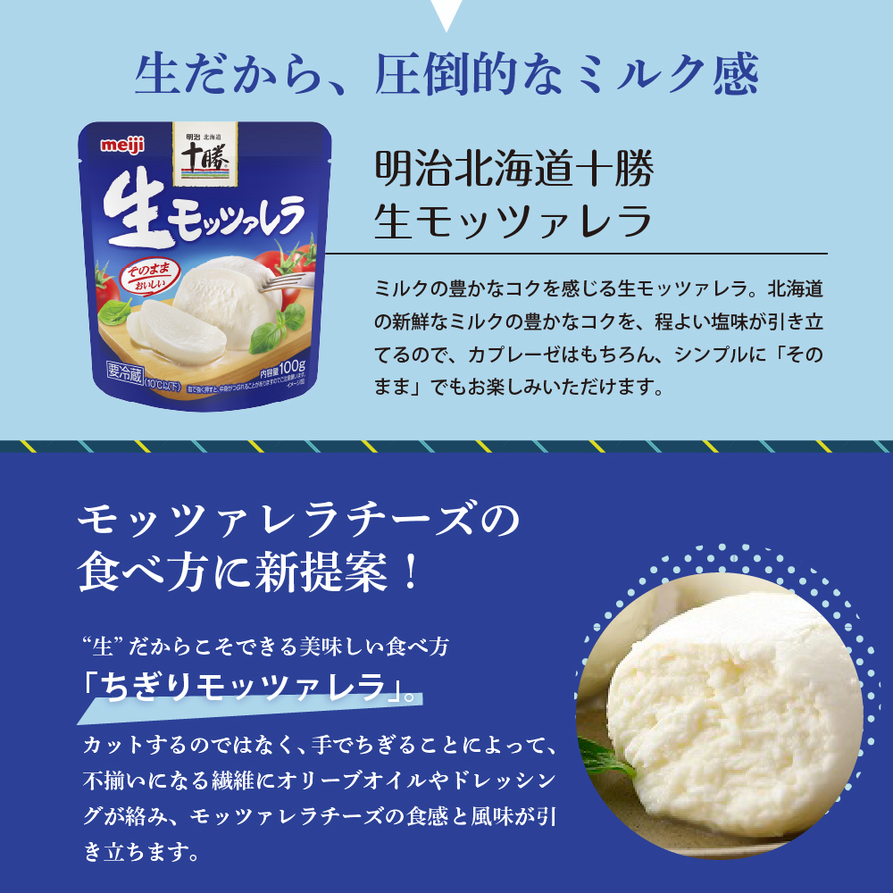 【隔月6回コース定期便】明治北海道十勝チーズ 生モッツァレラ６個 セット 計6回 me003-070-k6c