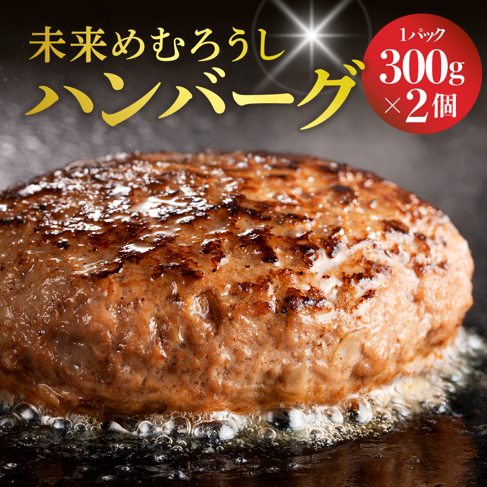 北海道十勝芽室町 未来めむろうし100％ハンバーグ　300g×2パック me067-001c