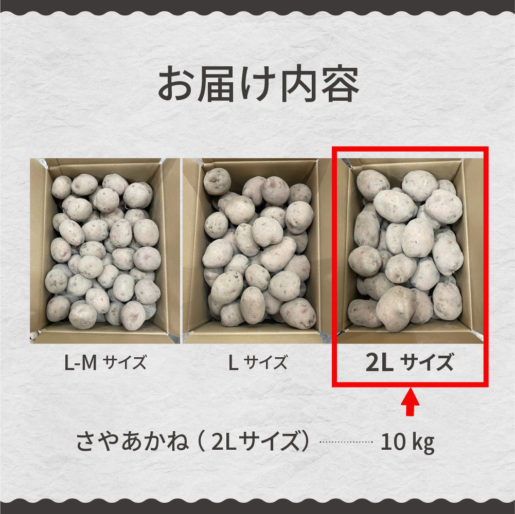 【先行予約】【2024年12月より配送】北海道十勝芽室町 さやあかね ２Lサイズ 10kg me049-005c-24