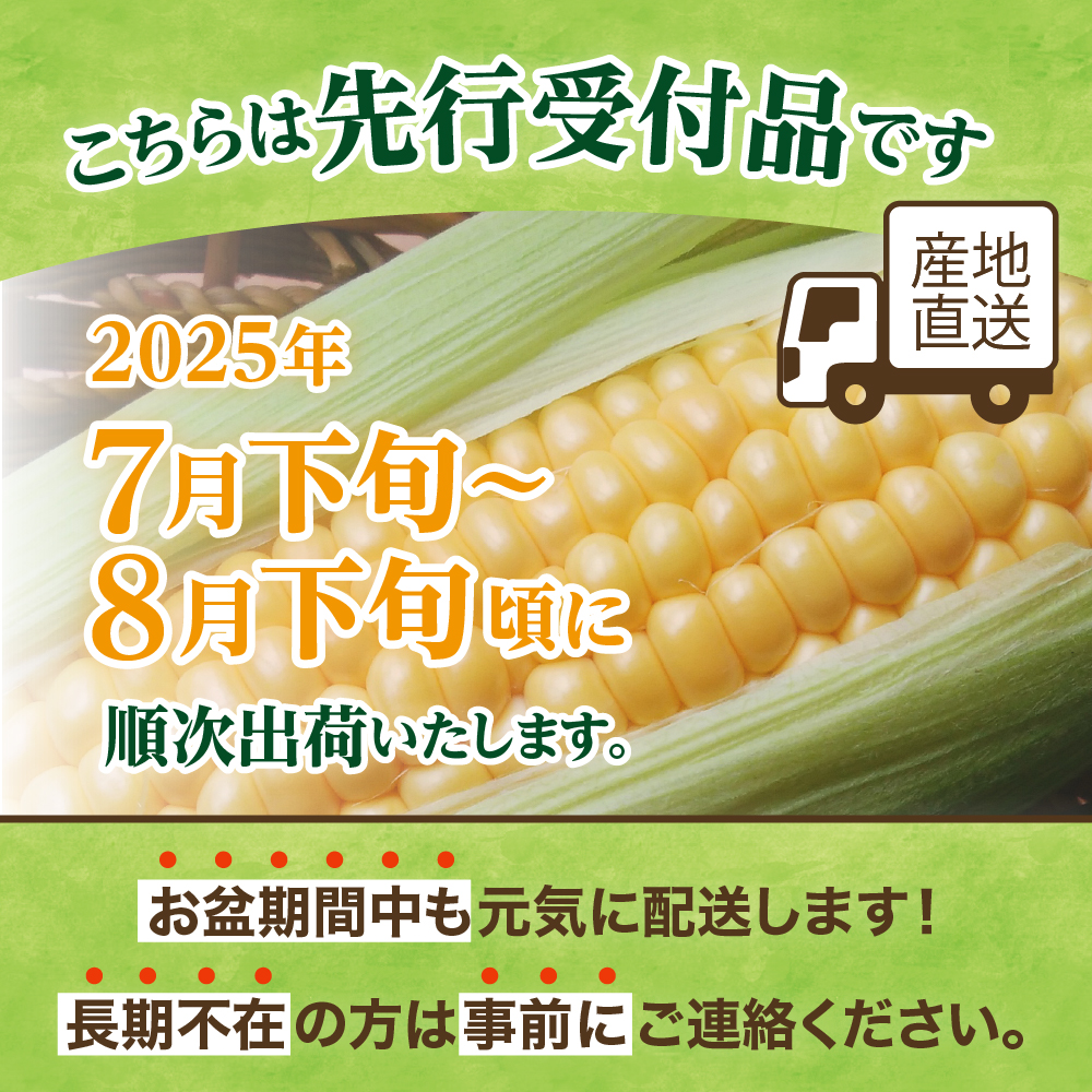 【2025年分先行予約】北海道十勝芽室町 スイートコーンゴールドラッシュ10本 me001-003c-25