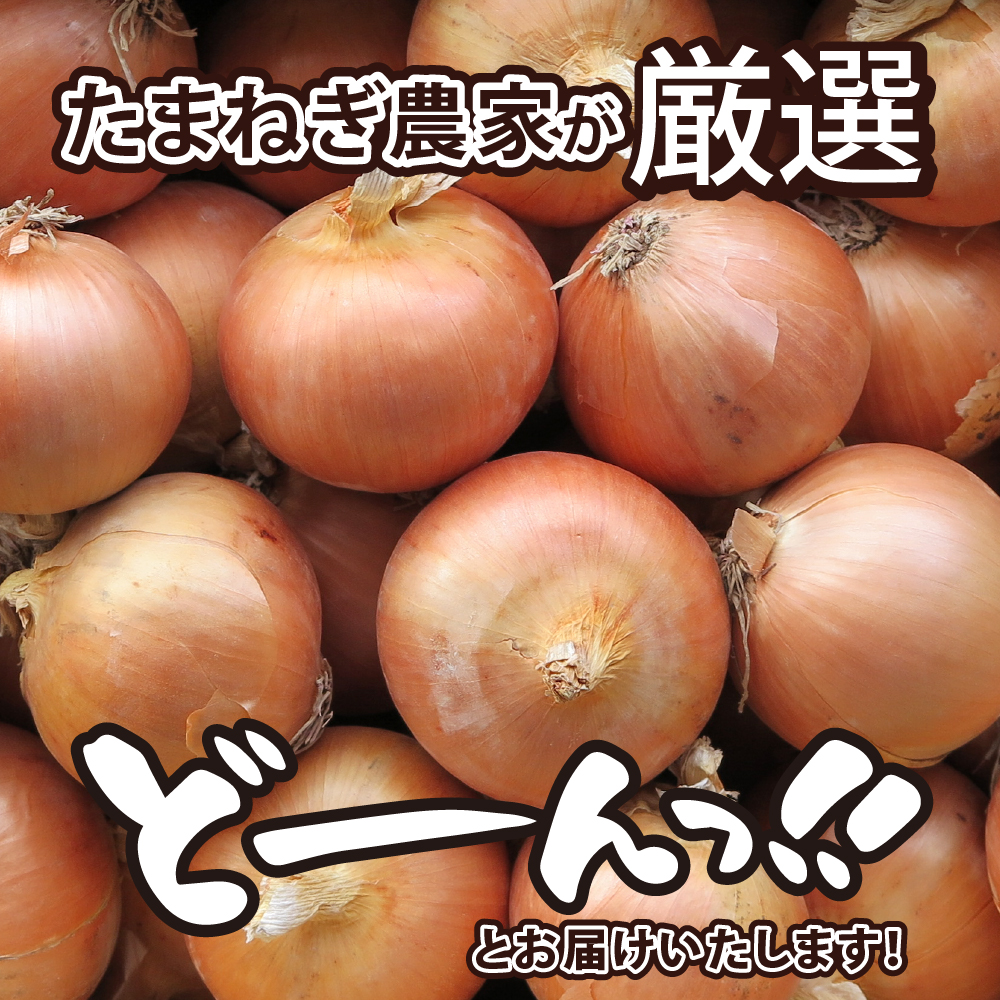 【先行予約】【2024年出荷分】北海道十勝芽室産 たまねぎ10㎏ 1箱 me002-023-24c