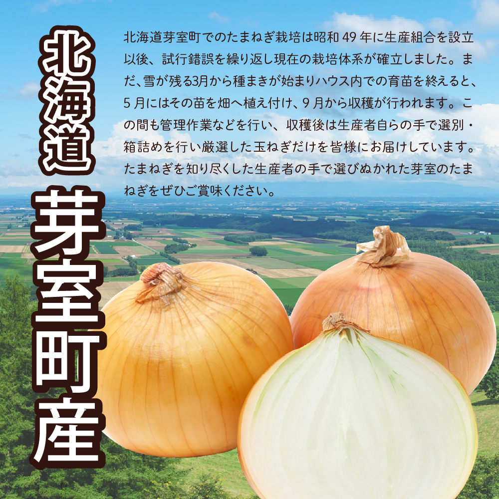 【先行予約】【2024年出荷分】北海道十勝芽室産 たまねぎ10㎏ 1箱 me002-023-24c