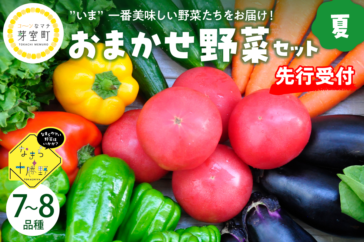 【先行受付】【2025年8月より発送】北海道十勝芽室町 なまら十勝野の季節のおまかせ野菜セット（夏） me001-009c