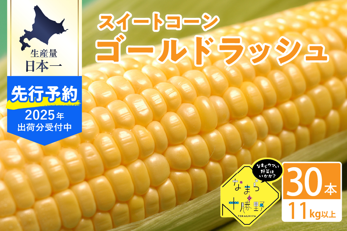 【2025年分先行予約】とうもろこし 北海道産 なまら十勝野の スイートコーン ゴールドラッシュ 30本 11kg以上キャンプ飯 BBQ ソロキャン 人気 とうもろこし コーン 生 甘い 大粒 大容量 野菜 北海道 十勝 芽室町 めむろ 送料無料 お取り寄せ 贈り物me001-011c-25