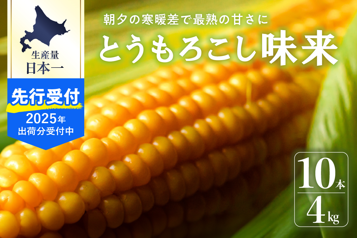 【2025年 先行予約】 北海道産 朝どれ とうもろこし 味来 10本 スイートコーン ハニーバンダム みらい トウモロコシ とうきび 生 野菜 黄色 yellow 産地直送 送料無料 期間限定 数量限定 お取り寄せ グルメ お土産 贈答 北海道 十勝 芽室町 めむろ me035-004c-25