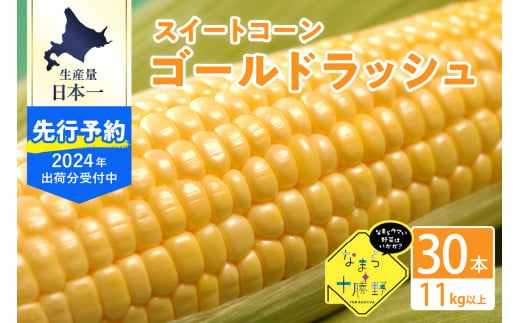 【2024年分先行予約】北海道十勝芽室町 なまら十勝野のスイートコーン ゴールドラッシュ(30本) me001-011-24c