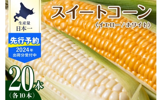 【2024年分先行予約】北海道十勝芽室町 とうもろこし イエロー種10本 ホワイト種10本 me002-016-24c