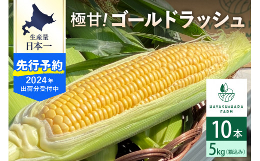 【2024年分先行予約】北海道十勝芽室町 極甘とうもろこし ゴールドラッシュ 10本  me028-001-24c