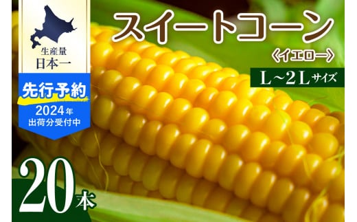 【2024年分先行予約】北海道十勝芽室町 とうもろこし スイートコーン20本 イエロー種 me002-014-24c