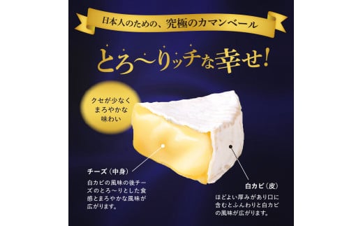 【隔月6回コース定期便】明治北海道十勝チーズ ベスト7 食べ比べセット 計6回 me003-064-k6c