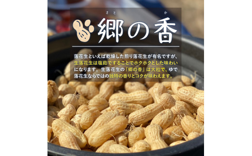 【先行受付】【2025年出荷分】北海道十勝芽室町 生落花生 茹で用 郷の香 1kg me028-003c-25