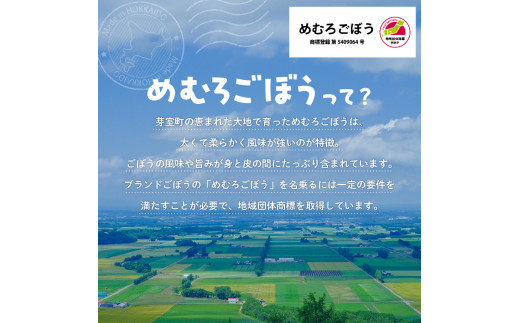 【先行受付】【10月中旬より発送】北海道十勝芽室町 めむろごぼうＬサイズ5kg me010-015c-24