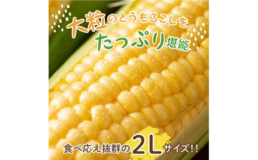 【2024年分先行予約】北海道十勝芽室町 とうもろこし 2L 9本入り me002-021-24c