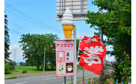 北海道十勝芽室町 めむろ散走（ガイド付サイクリングツアー）「新嵐山周辺さくっと散走」me054-001c