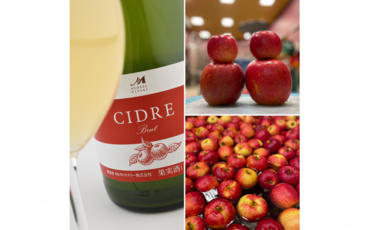 北海道十勝芽室町 シードル：CIDRE【北海道産リンゴ100％】750ml×1本(箱入) me032-045c