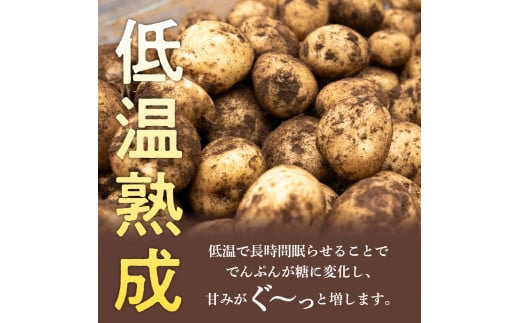 【先行受付】【2025年2月より順次発送】北海道十勝芽室町 雪室熟成越冬インカのめざめ5kg me001-005c