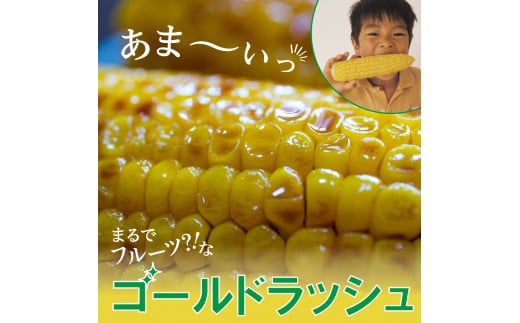 【2024年分先行予約】北海道十勝芽室町 なまら十勝野のスイートコーン ゴールドラッシュ(30本) me001-011-24c